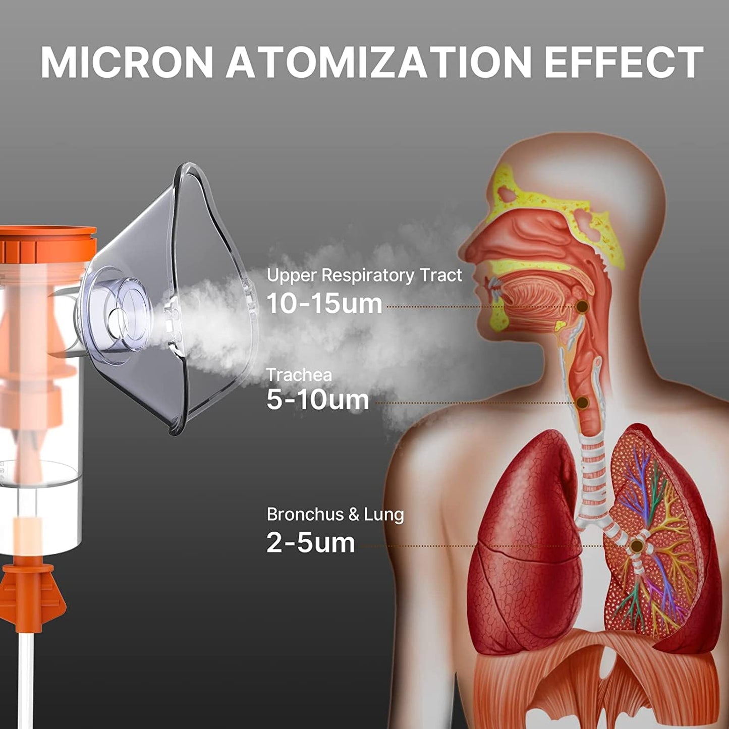 Ferrean Nebulizer Machine for Adults, Compressor Nebulizer Machine for Kids Portable Jet Nebulizer for Breathing Problems with Complete Accessories Desktop Nebulizer for Daily Use