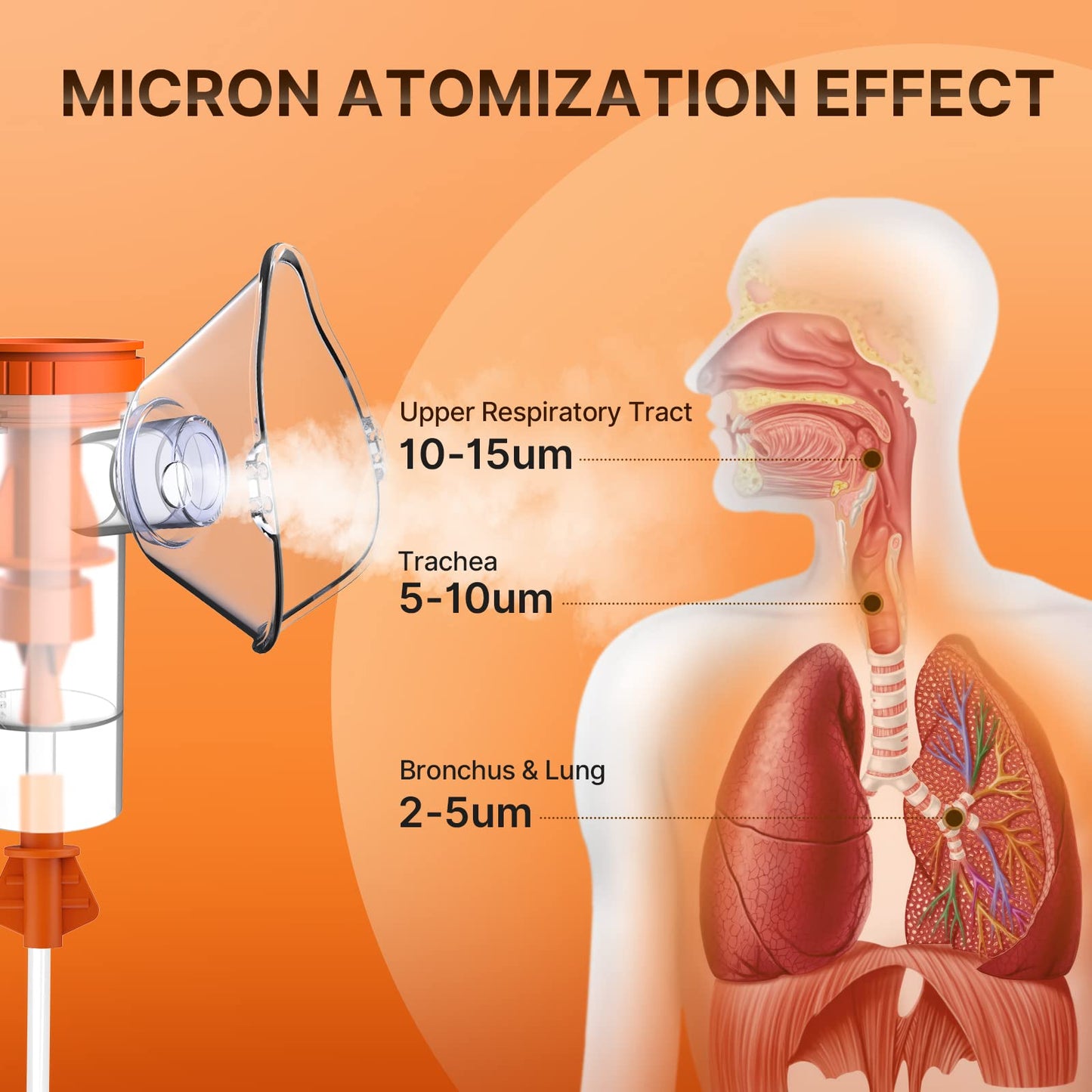 PANASHE	Nebulizer Machine for Adults, Portable Nebulizer Machine for Kids, Compressor Nebulizer for Breathing Problems, Personal Steam Inhaler Cool Mist with Full Accessories for Home Travel,Gray